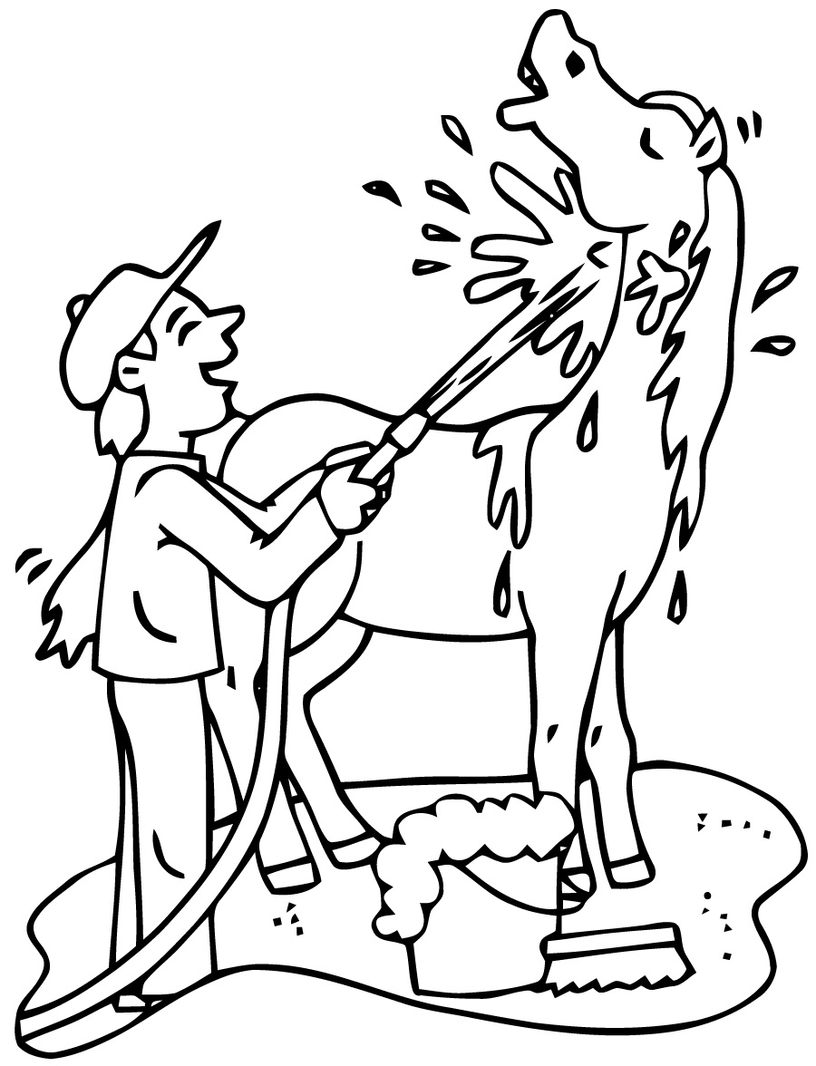 4 coloring page Värityskuva