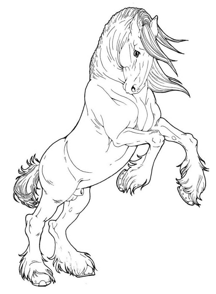 Horse Looks Cool coloring page Värityskuva