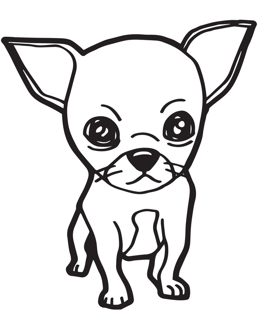 chihuahua Värityskuva