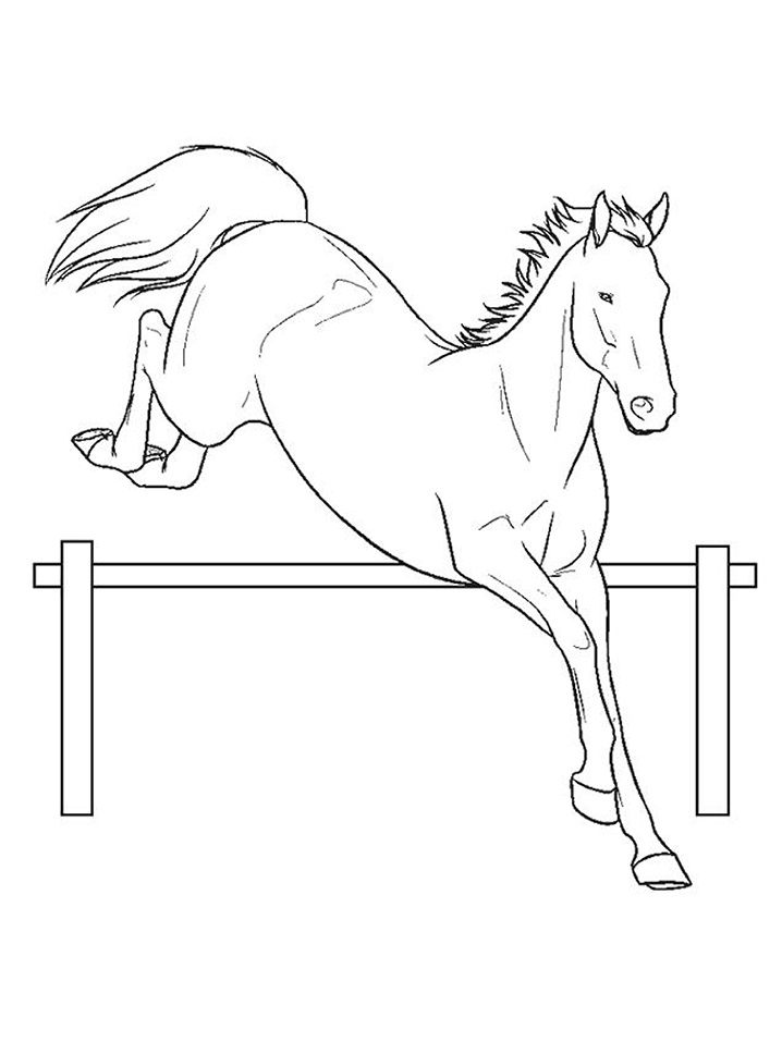 horse (1)_01 Värityskuva