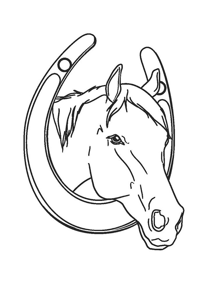 horse (1)_02
