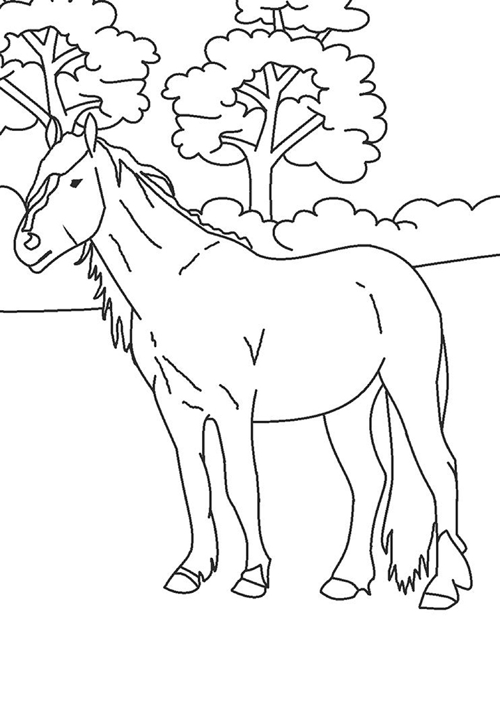 horse (1)_03 Värityskuva