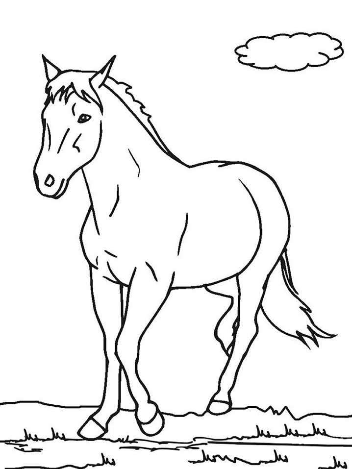 horse (1)_06 Värityskuva