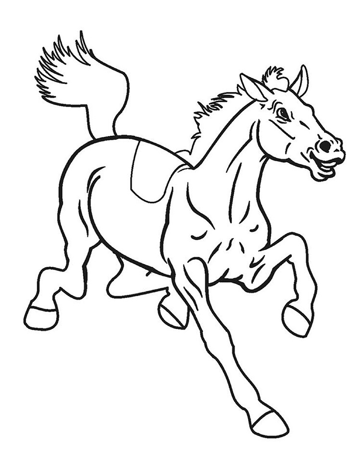horse (1)_07 Värityskuva