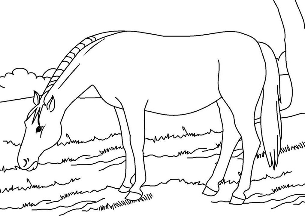 horse (1)_09 Värityskuva
