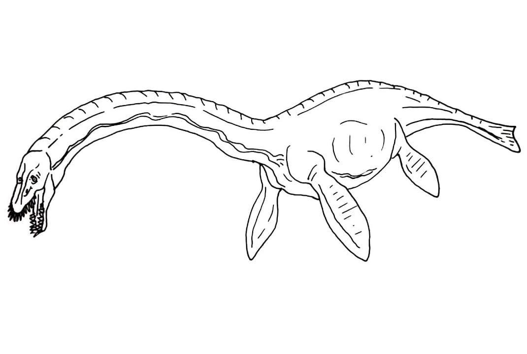 Plesiosaurus 4 Värityskuva