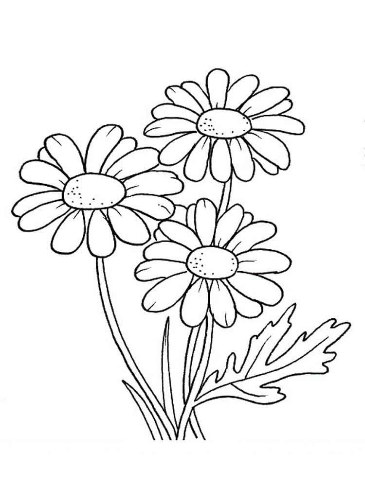 Daisy 1 Värityskuva