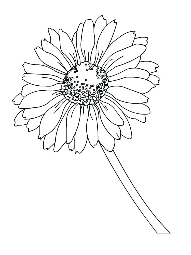 Daisy 12 Värityskuva
