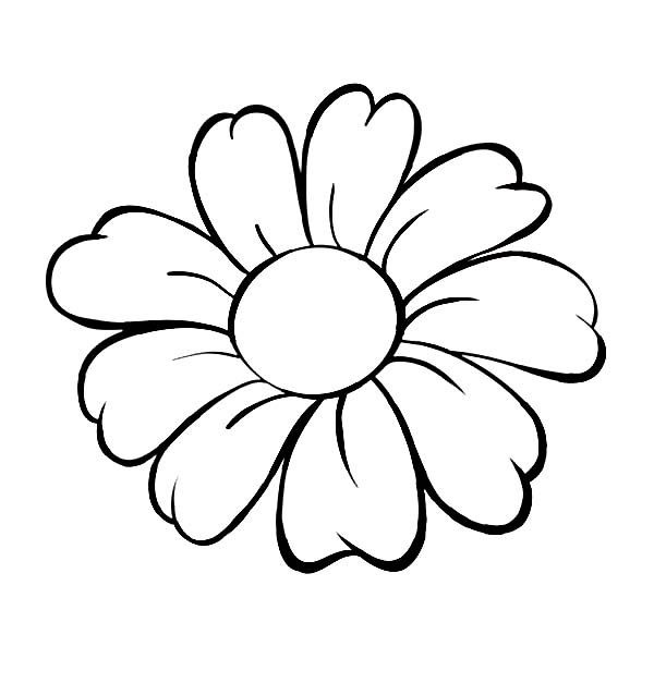 Daisy 14 Värityskuva
