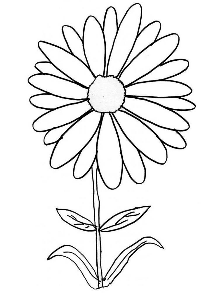Daisy 15 Värityskuva