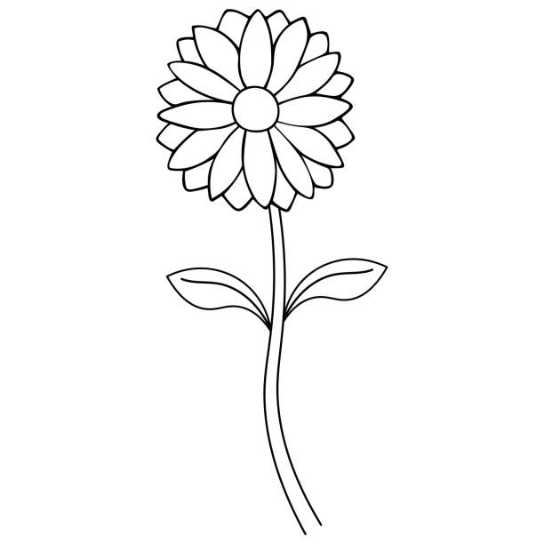 Daisy 18 Värityskuva