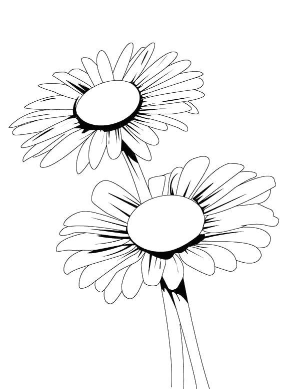 Daisy 2 Värityskuva