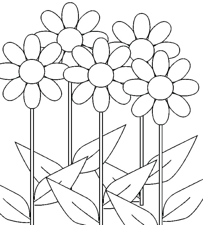 Daisy 3 Värityskuva
