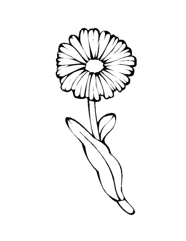 Daisy 5 Värityskuva