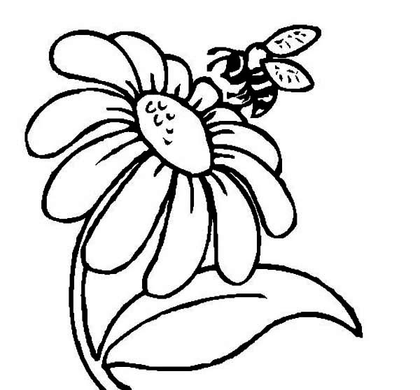 Daisy 7 Värityskuva