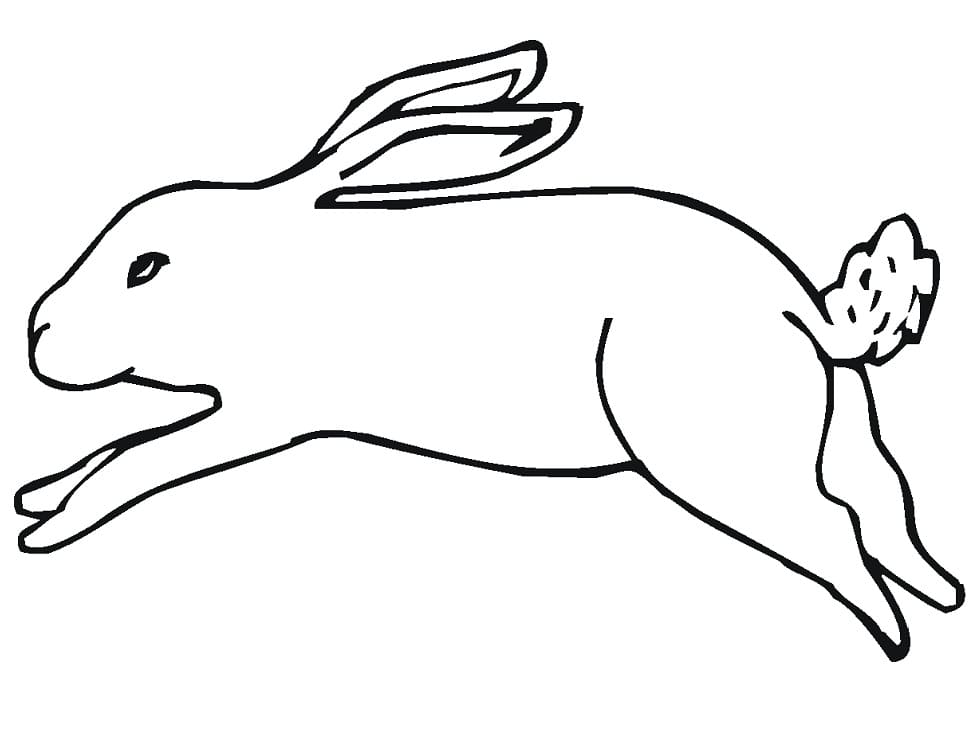 Juoksemassa Jack Bunny Värityskuva