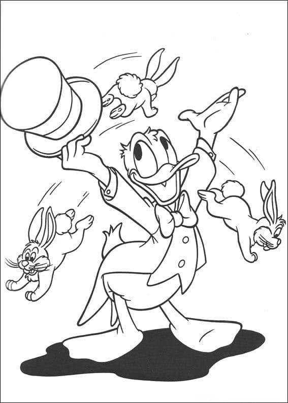 Focus by Donald Duck Värityskuva