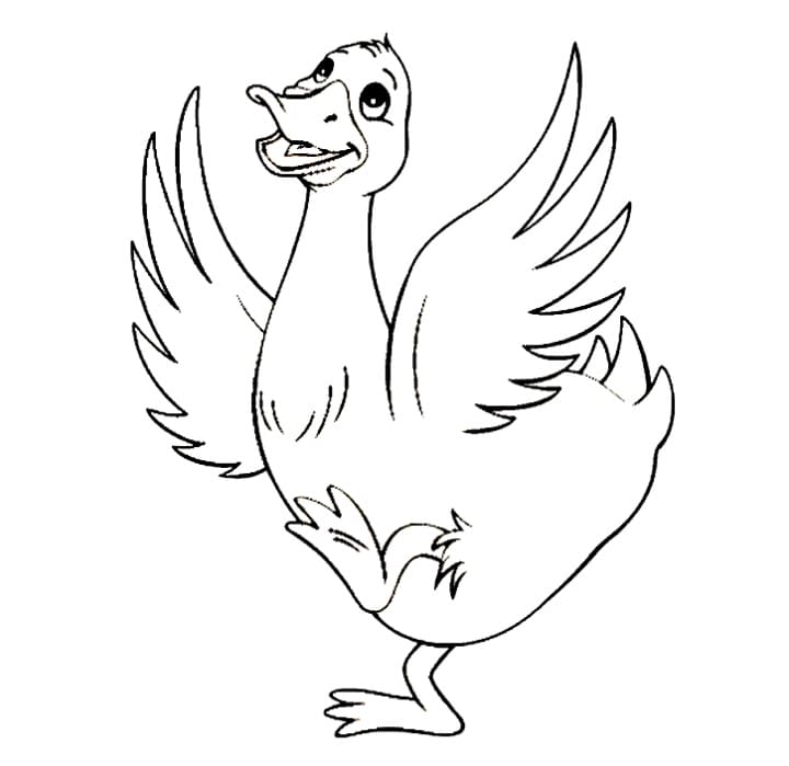 Ankka coloring pages