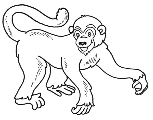 Apina coloring pages