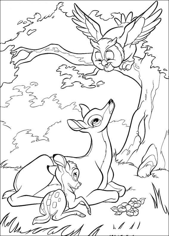 Bambi äiti ja pöllö Värityskuva