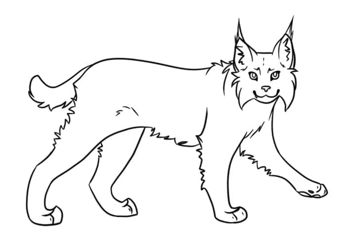 Ilves coloring pages