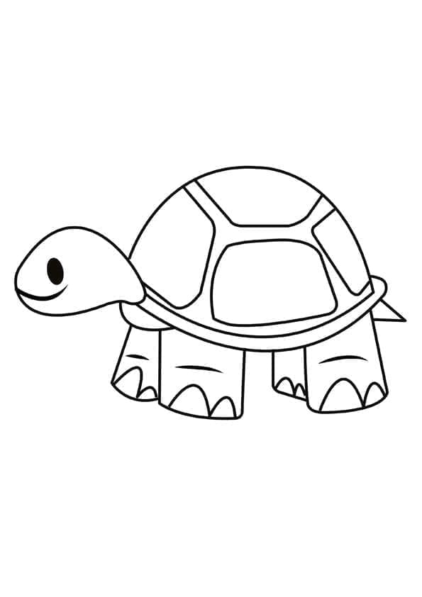 Kilpikonnat coloring pages