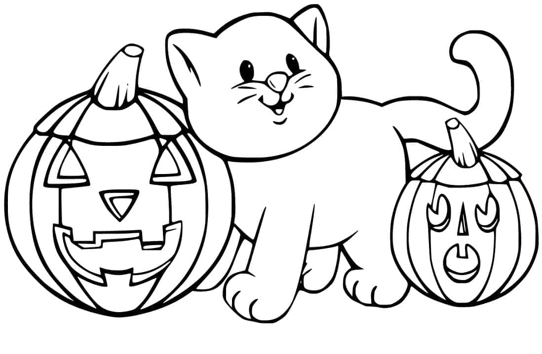 Halloween kissa ja kurpitsat Värityskuva