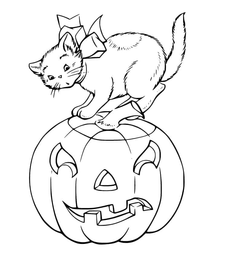 Halloween Kissat coloring pages