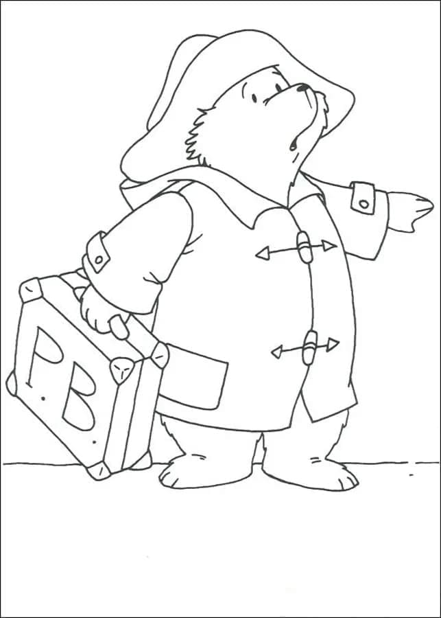 Paddington salkun kanssa Värityskuva