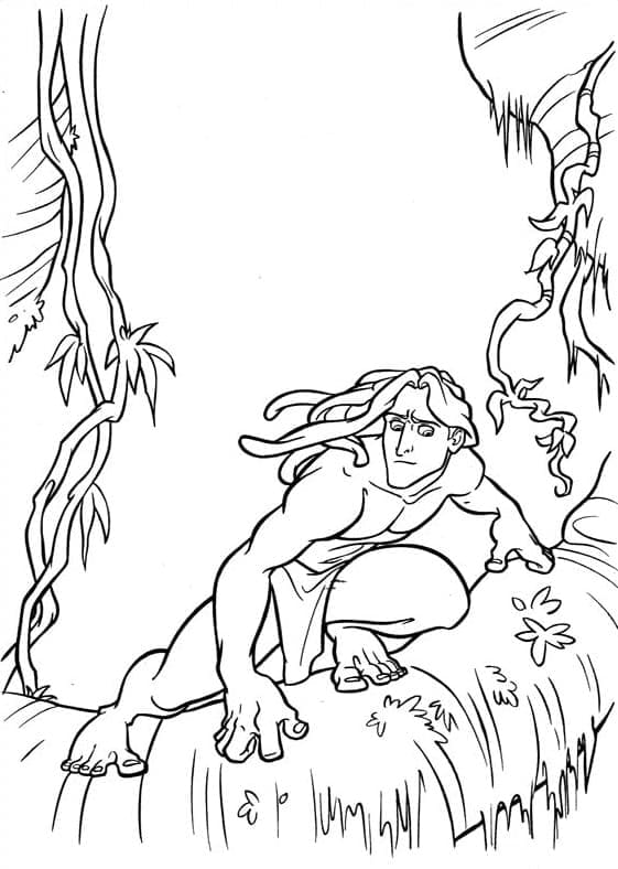 Tarzan Värityskuvat