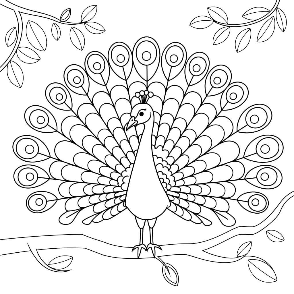 Riikinkukko coloring pages
