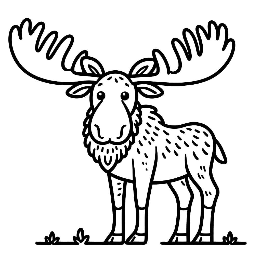 Aikuinen hirvi Värityskuva