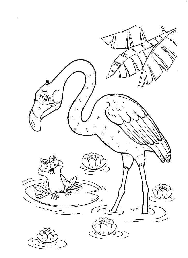 Sammakko ja Flamingo Värityskuva