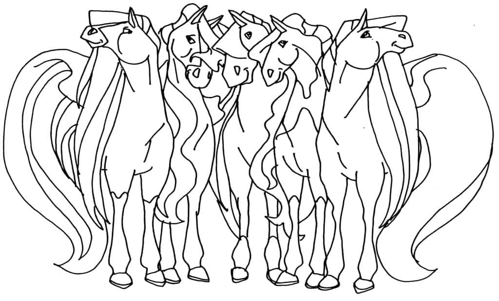 Adatto a Horseland Värityskuva