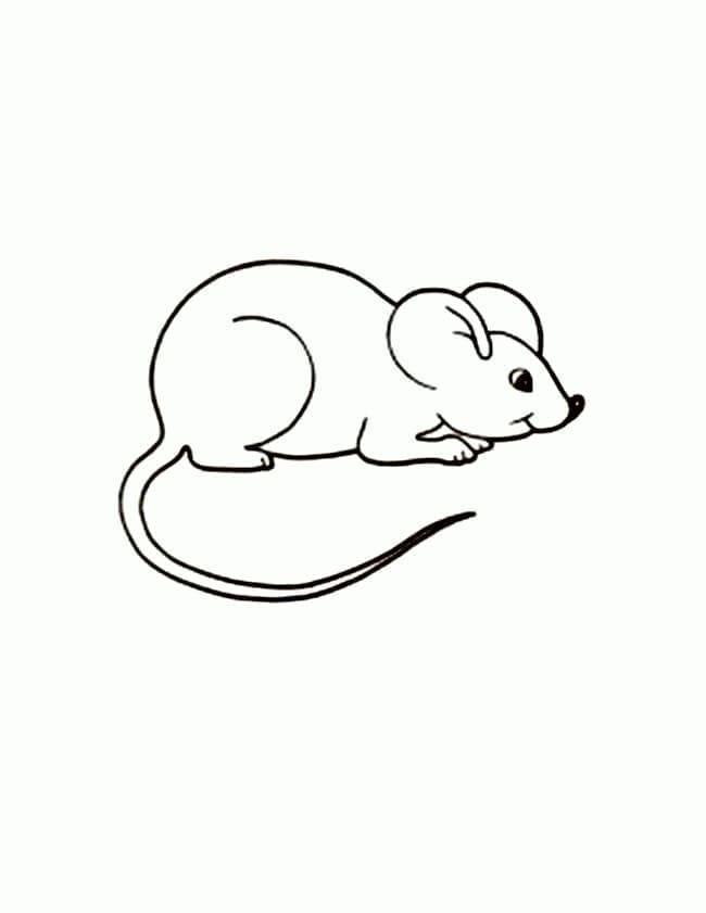 Pieni Hiiri Värityskuva