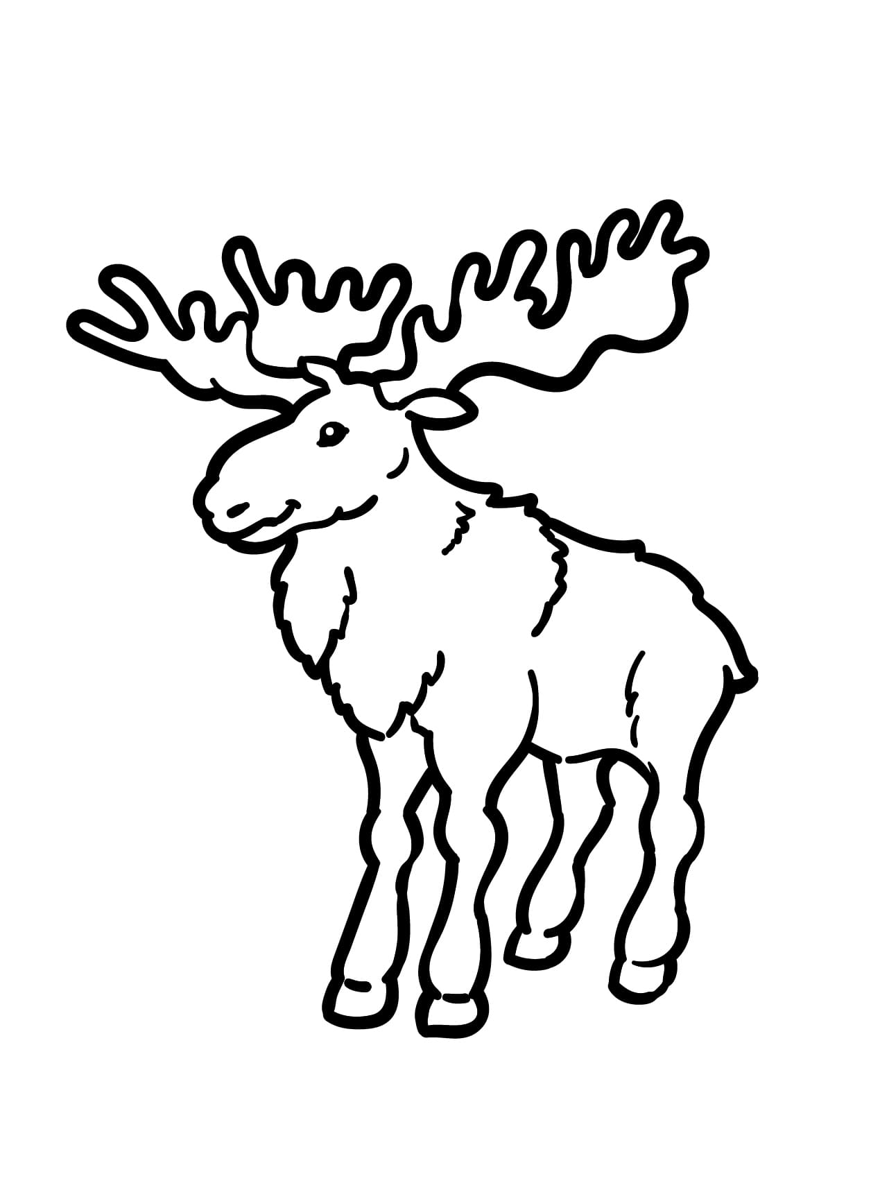 Antilooppi Värityskuva