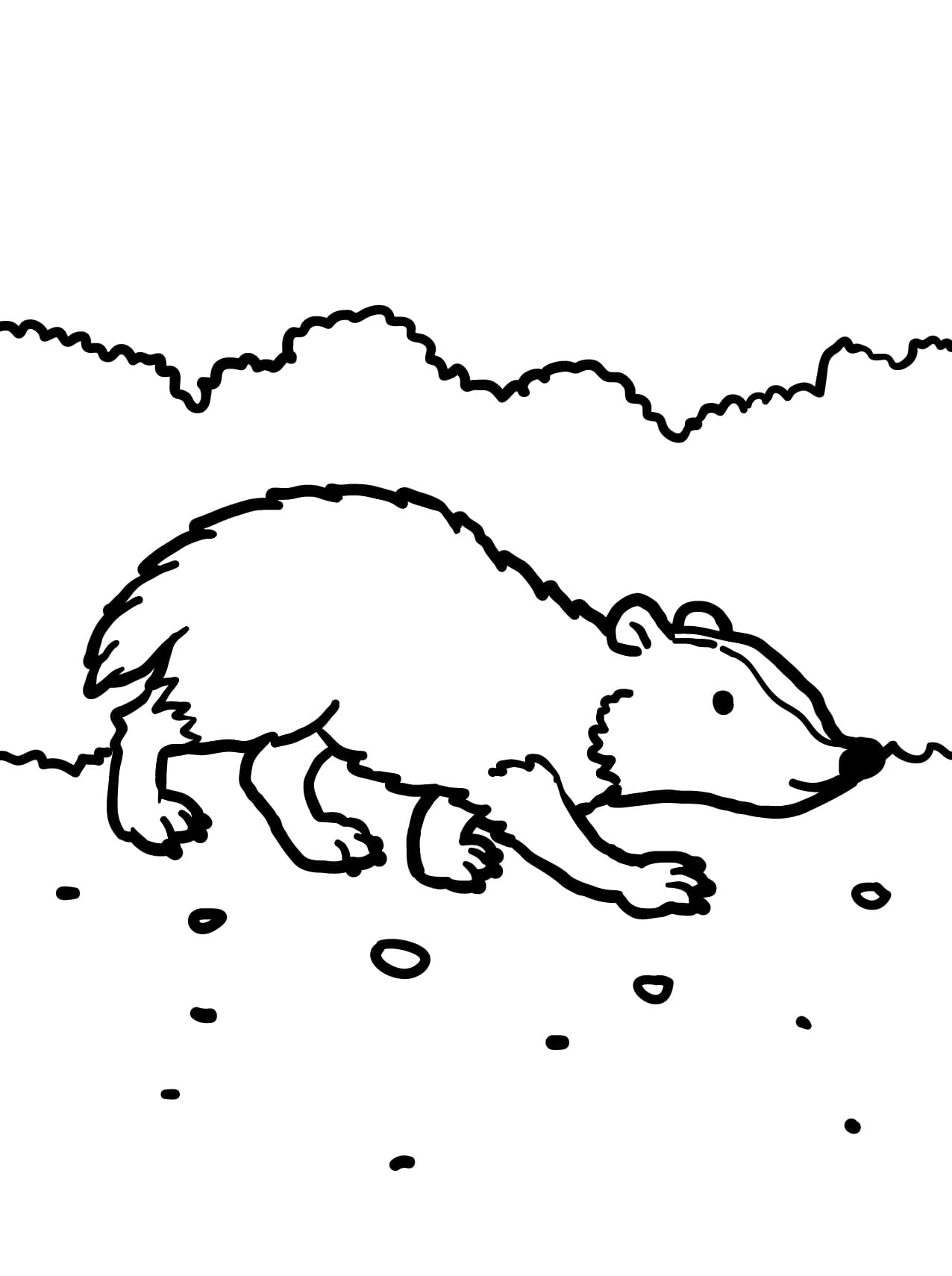 Capybara Värityskuva