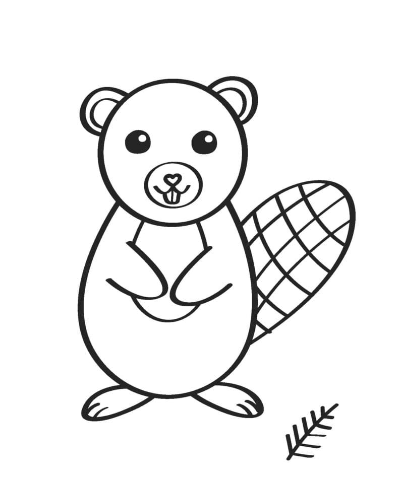 Majava Värityskuva