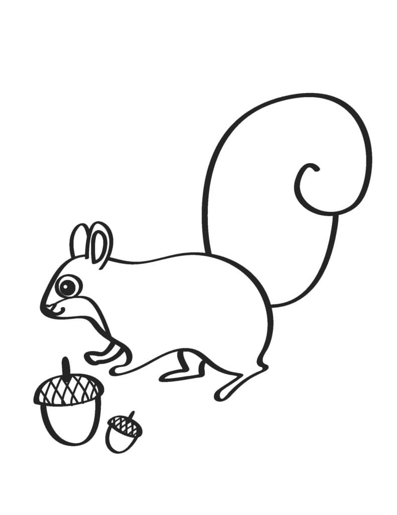Orava hauskaa Värityskuva