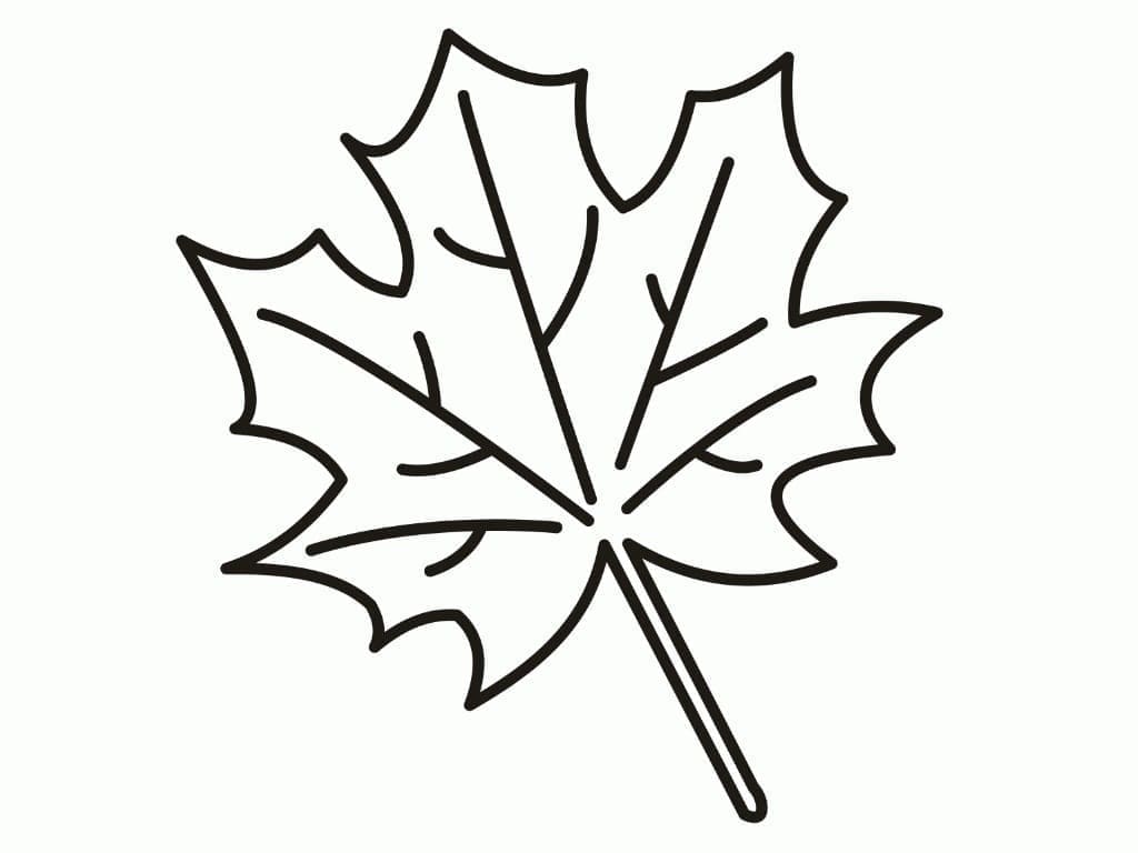 Putoava vaahteranlehti Värityskuva