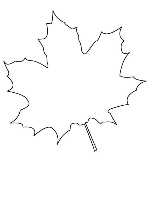 Simple Maple Leaf Värityskuva
