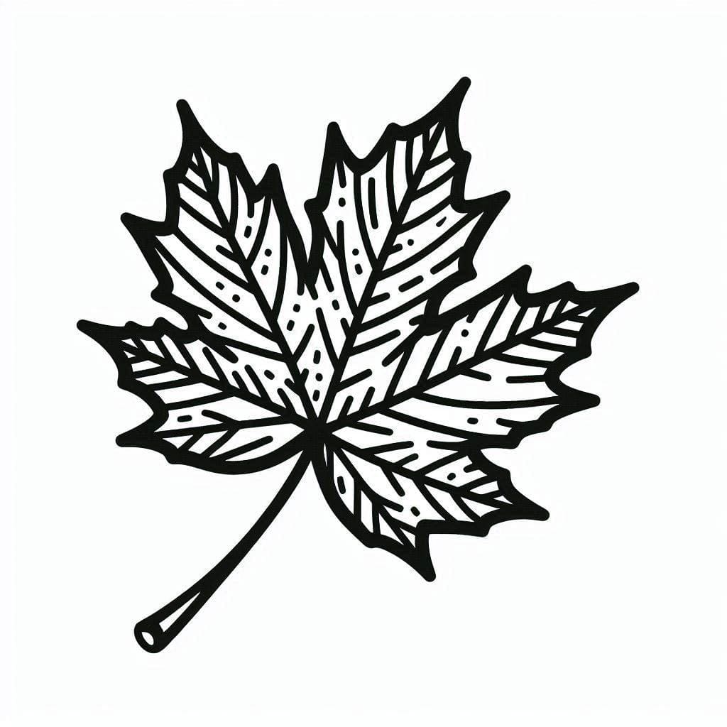 Vaahteranlehti taidetta Värityskuva