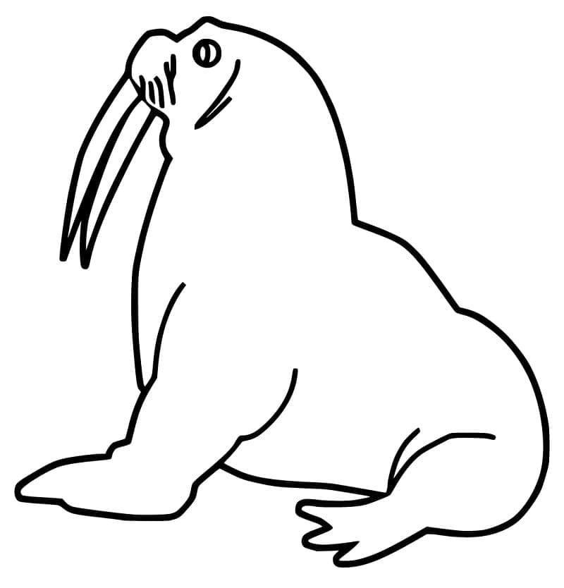 Helppo mursu Värityskuva