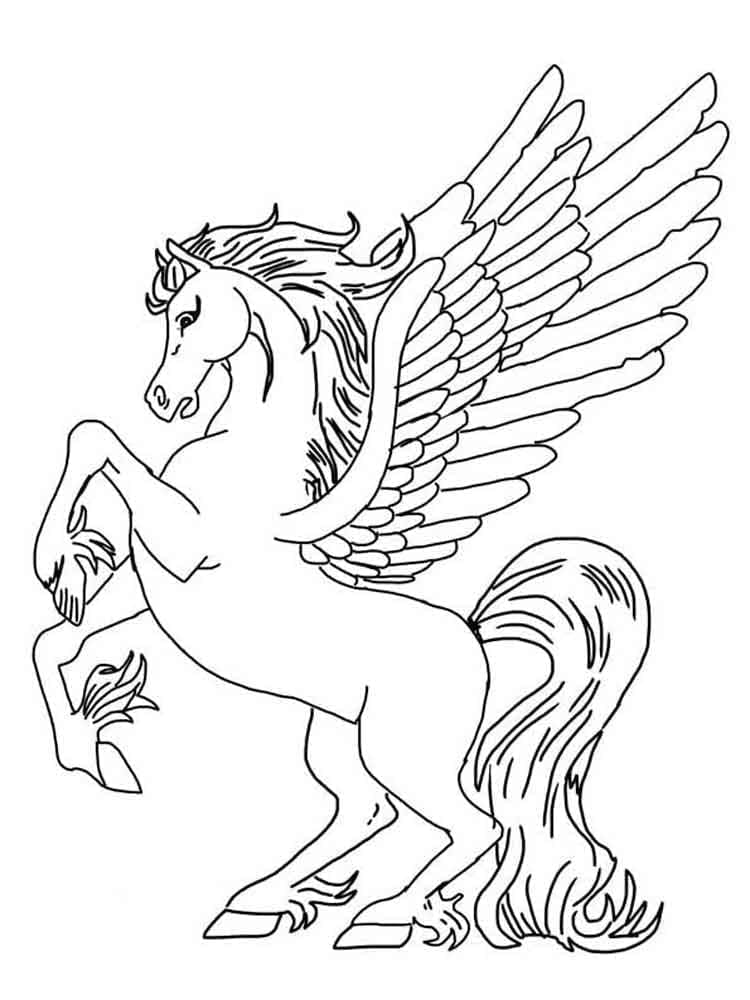 Ihana Pegasus Värityskuva