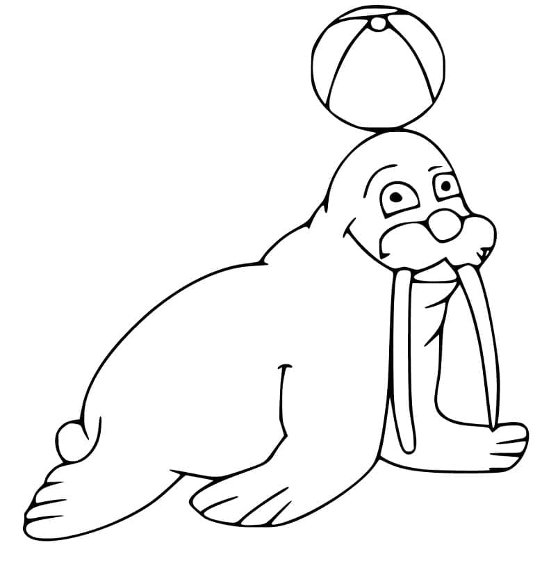 Mursu ja pallo Värityskuva