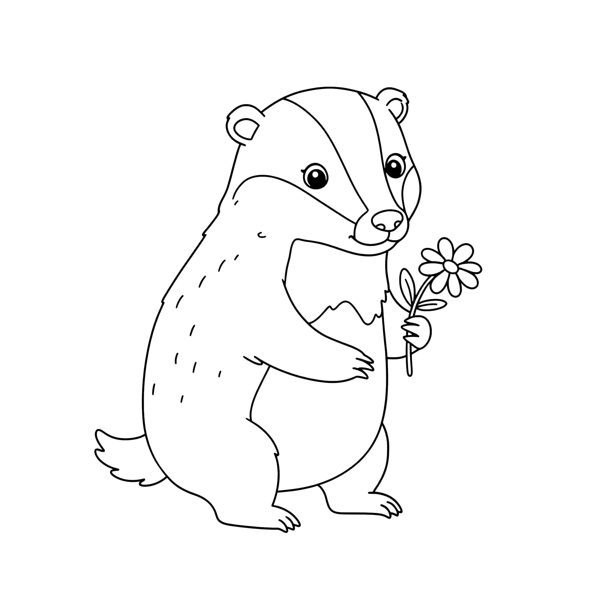 Mäyrä pitelee kukkaa Värityskuva