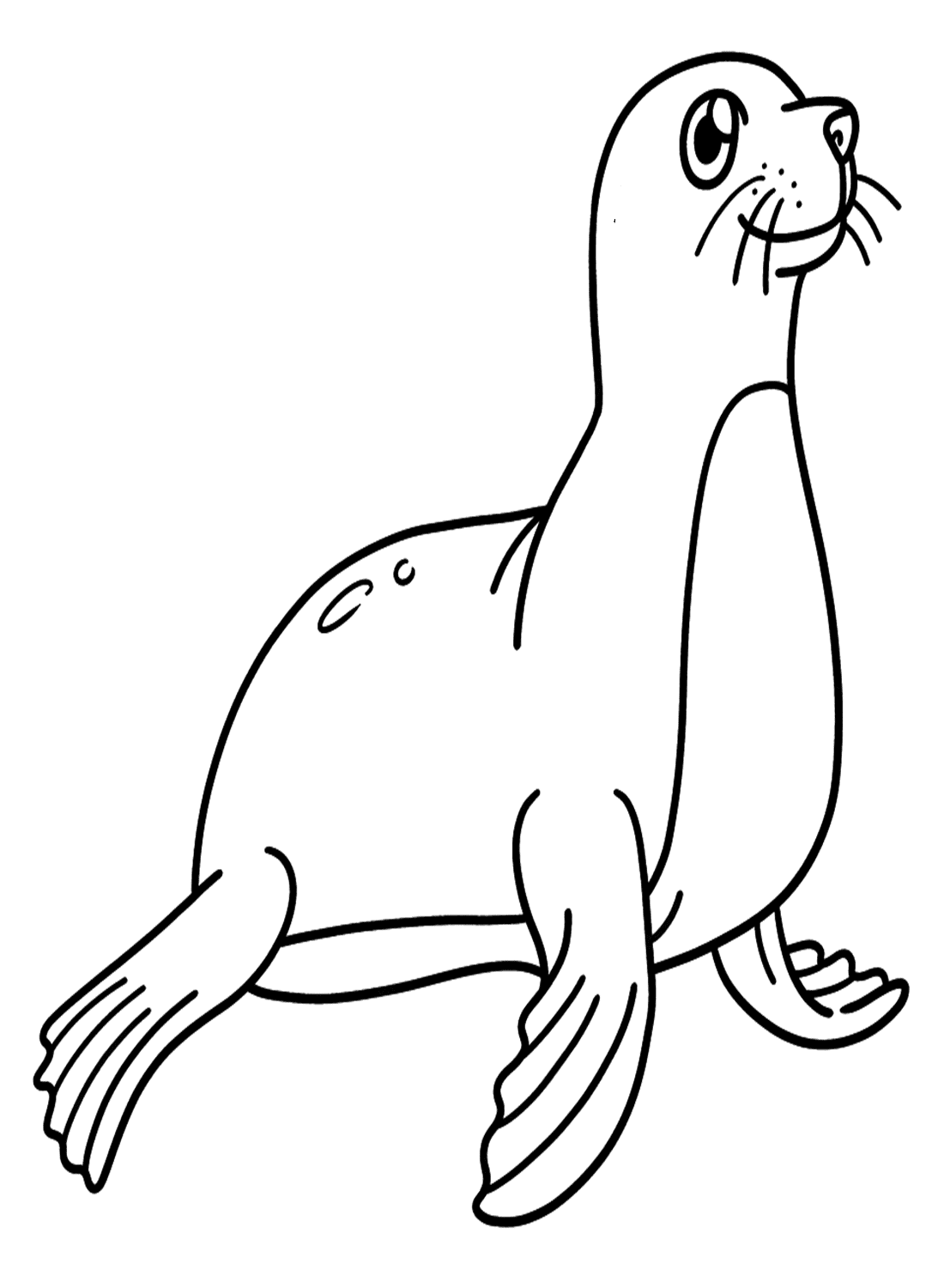 Söpö hylje Värityskuva