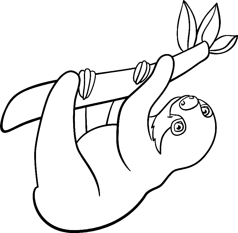 Laiskiaiset