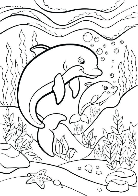 Coloriage Deux dauphins