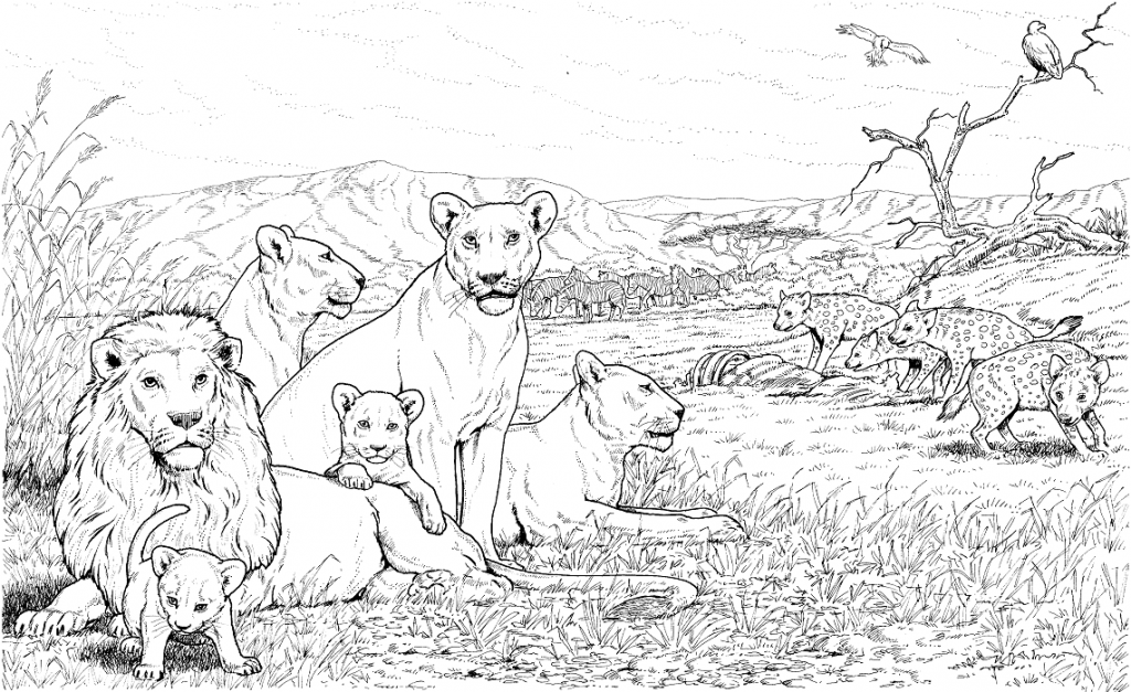 Coloriage Une Volée de Lions à imprimer